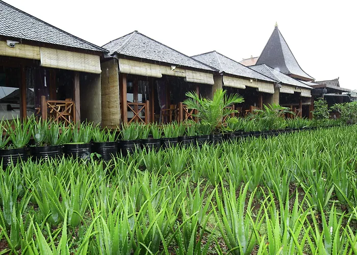Puri Karang Besakih Menanga