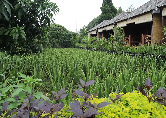 Puri Karang Besakih